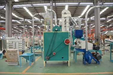 Cleaning Section