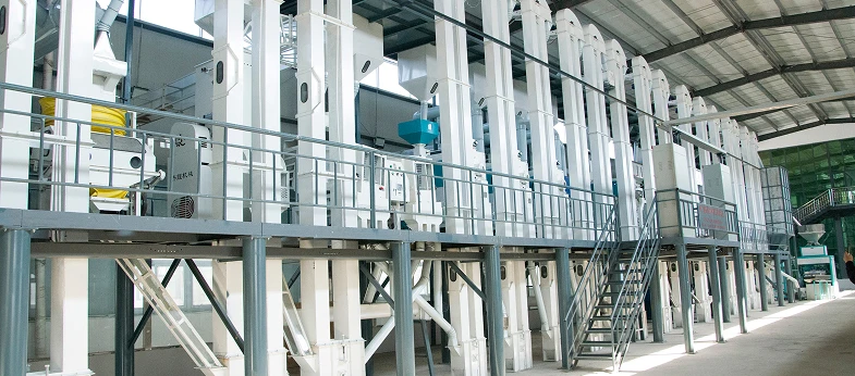 100TPD Rice Milling Production Line Project Case