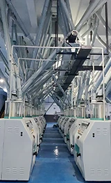 200TPD Wheat Flour Milling Production Line Project Case