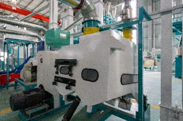 Cleaning Section