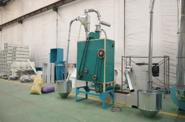 Cleaning Section