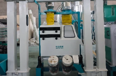 Cleaning Section