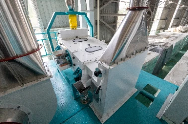 Cleaning Section