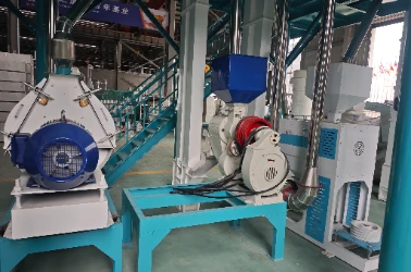 Peeling and Crushing Section