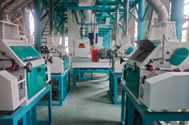 Flour Milling and Sifting section
