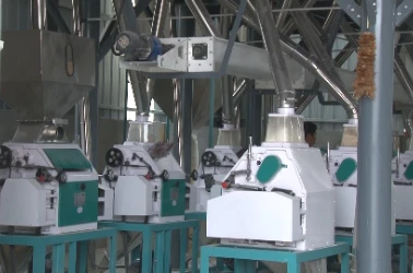 Flour Milling and Sifting