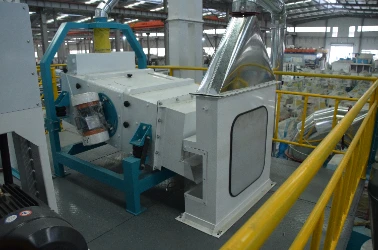Cleaning Section