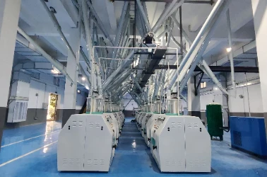 Flour Milling and Sifting