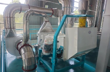Cleaning Section