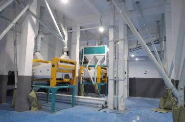 Cleaning Section