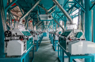 Flour Milling and Sifting