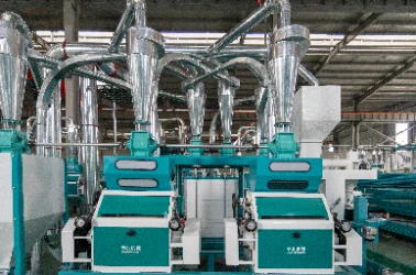 Flour Milling and Sifting Section