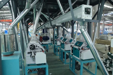 Flour Milling and Sifting section