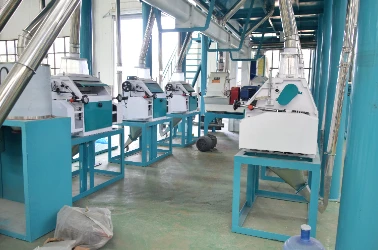 Flour Milling and Sifting section