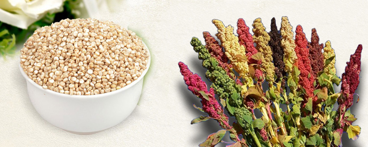 Automatic Quinoa Milling Machine